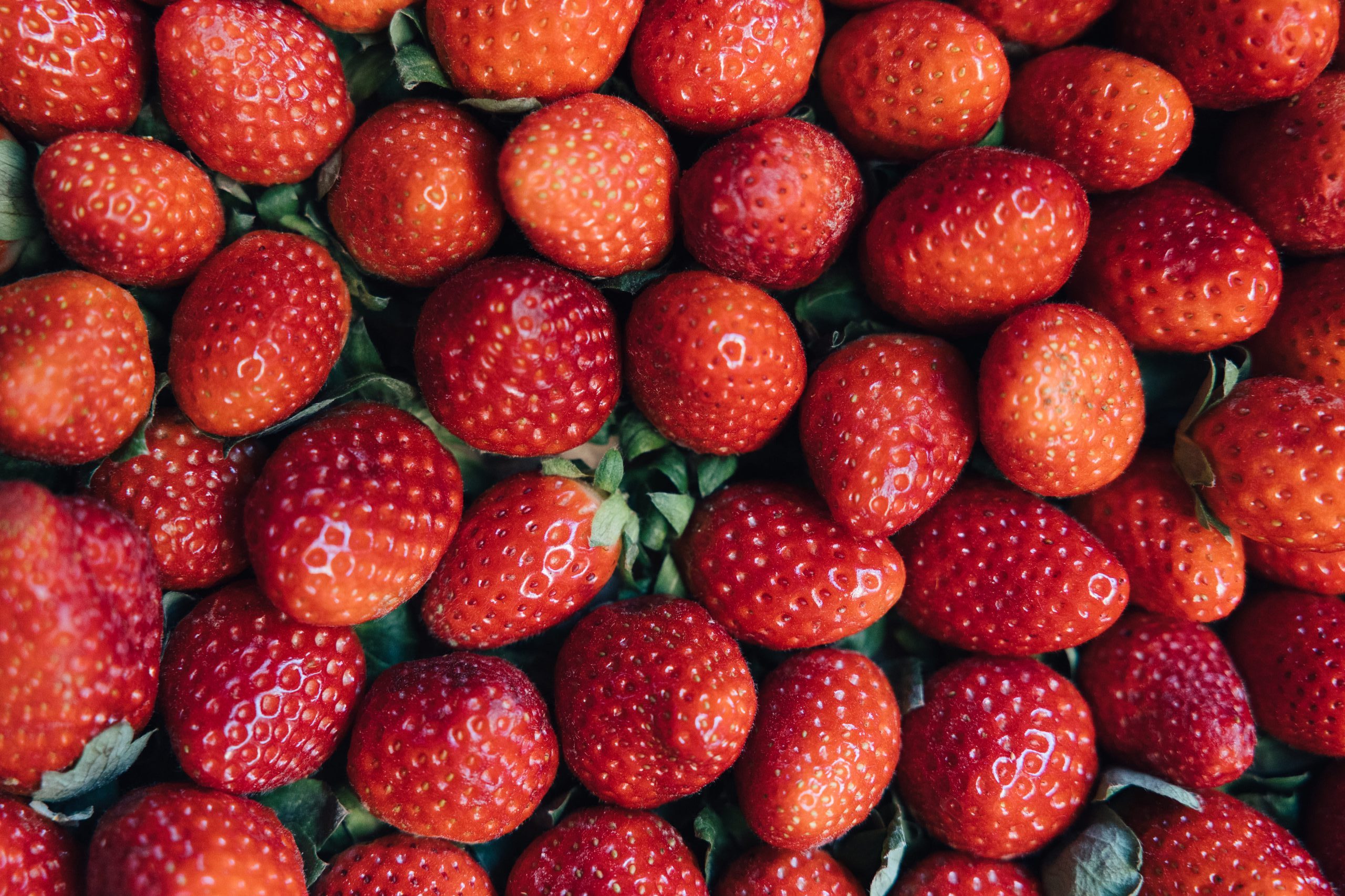 Fresas